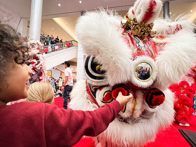 A child interacting with a dragon at a Lunar New Year event at a Macerich property