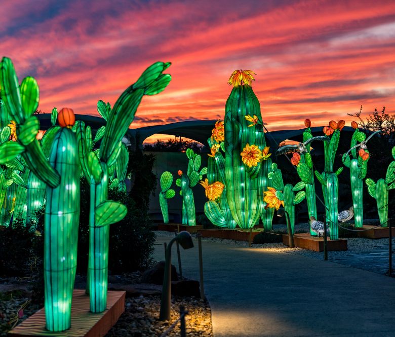 light up cactus garden