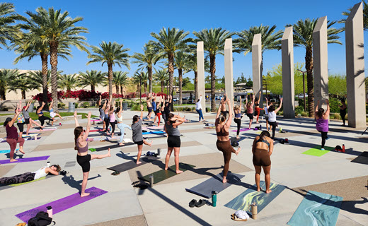 a group of individuals doing yoga outside