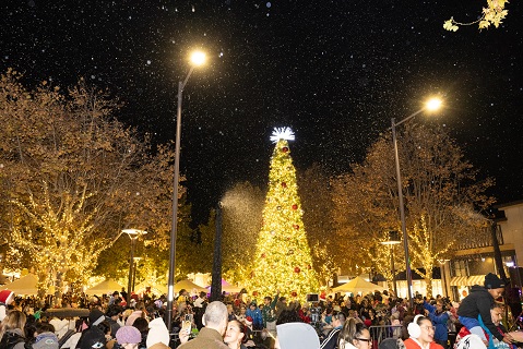 Holiday Parade of Lights