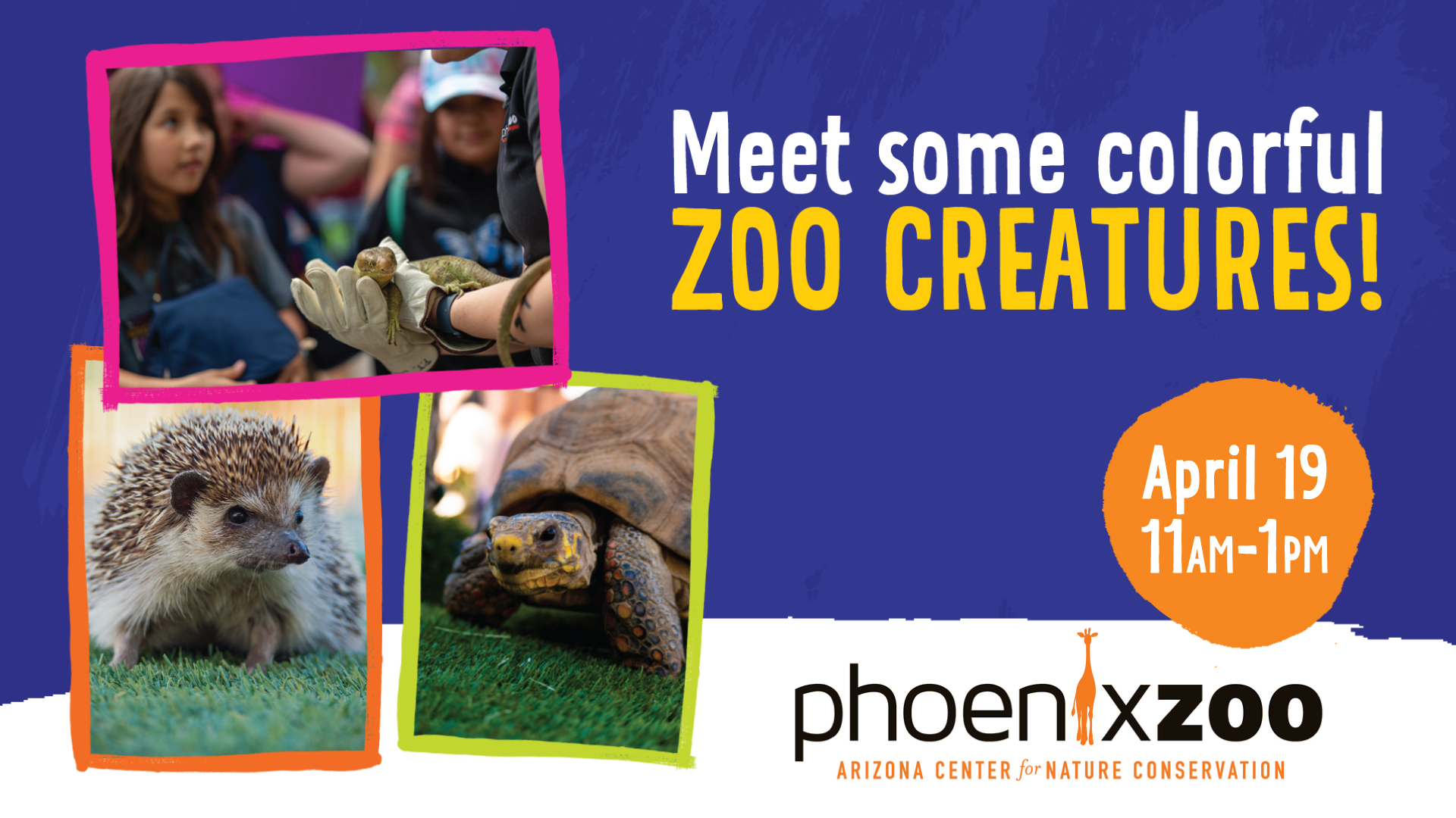 Text reads "Meet some colorful zoo creatures! april 19 11am-1pm. phoenix zoo. arizona center for nature conservation" Images of students watching gloved hands handling a lizard. a photo of a hedgehog and a sulcata tortoise. 