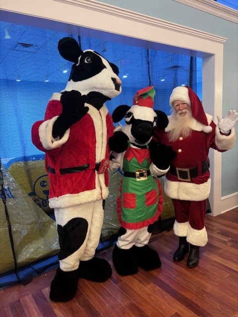 Santa with the Chick-fil-A cows