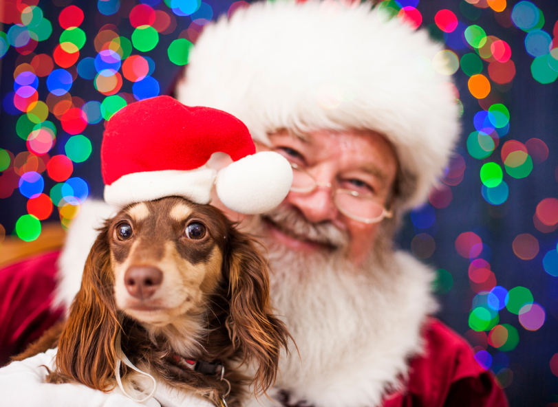 Santa with dog wearing a Santa hat.