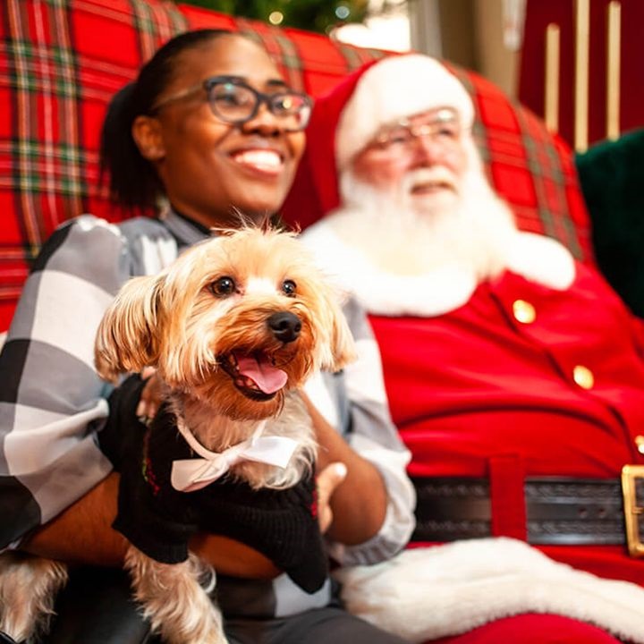 A young girls and her little tan dog sitting next to Santa for a photo. 