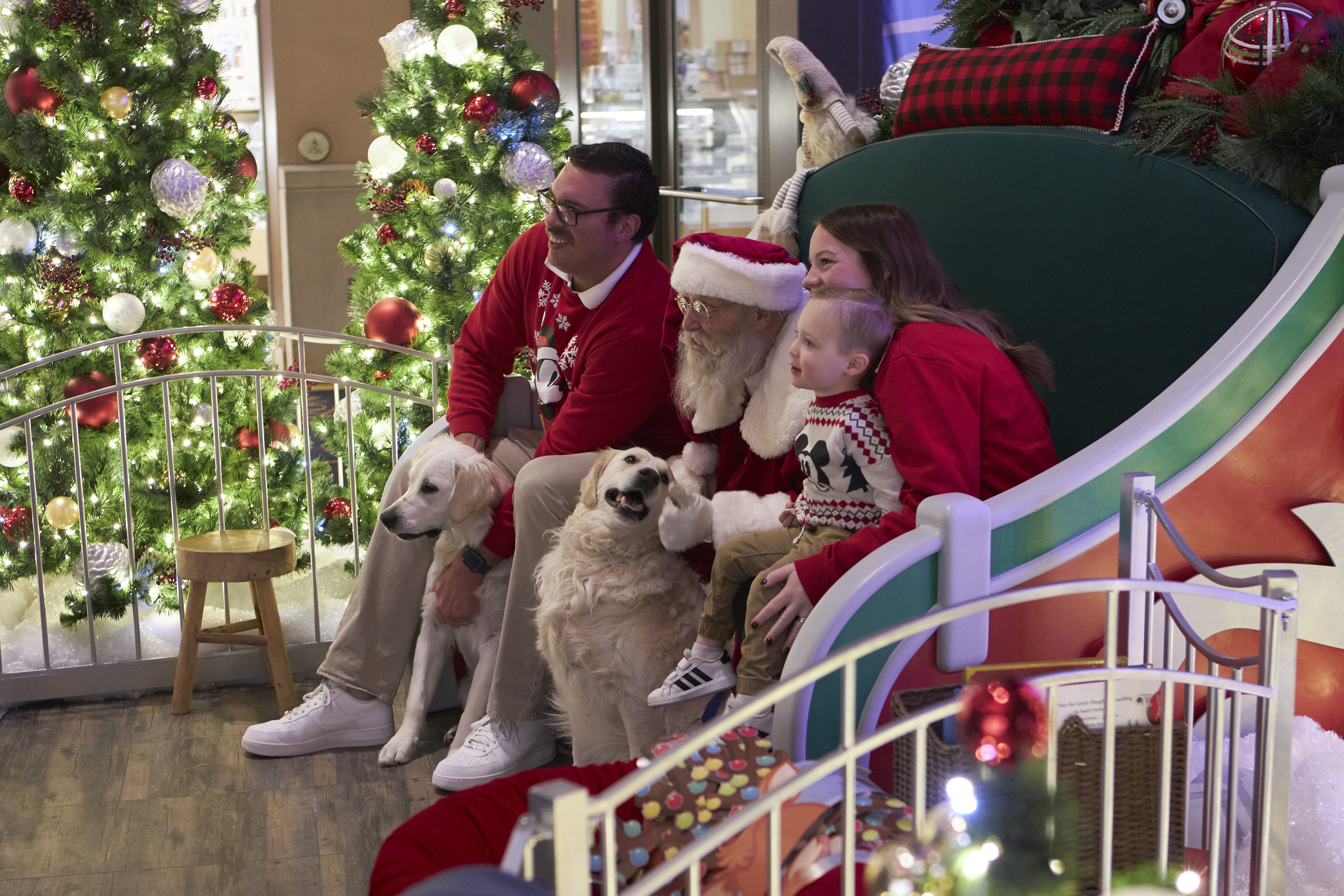 Family and two dogs taking a picture with Santa.