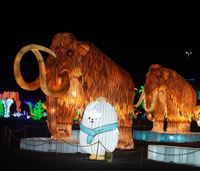 Illuminated Dinosaurs and other laterns