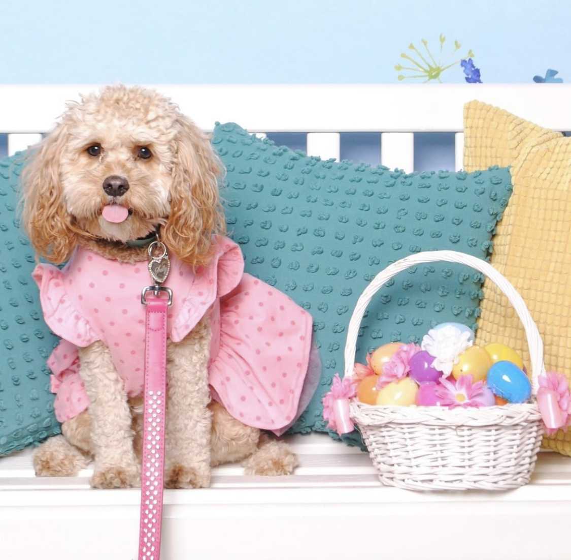 A small dog dressed in a pink dress is sitting next to the Easter Basket.