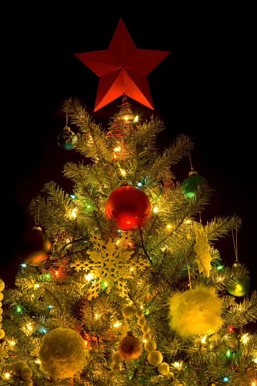 Christmas tree with lights