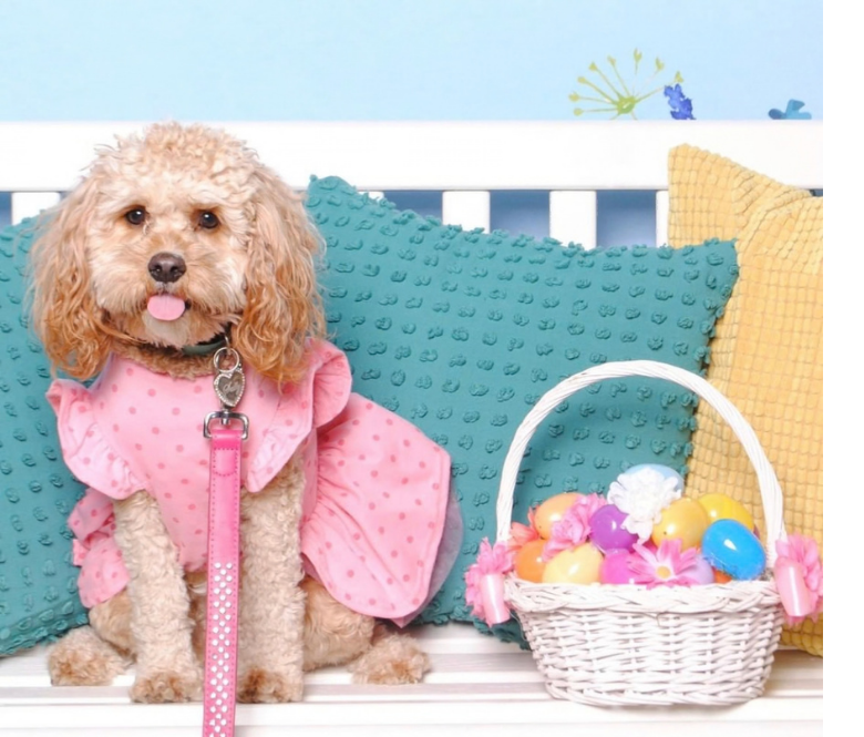 A dog and two bunnies wearing party hats as confetti falls around them