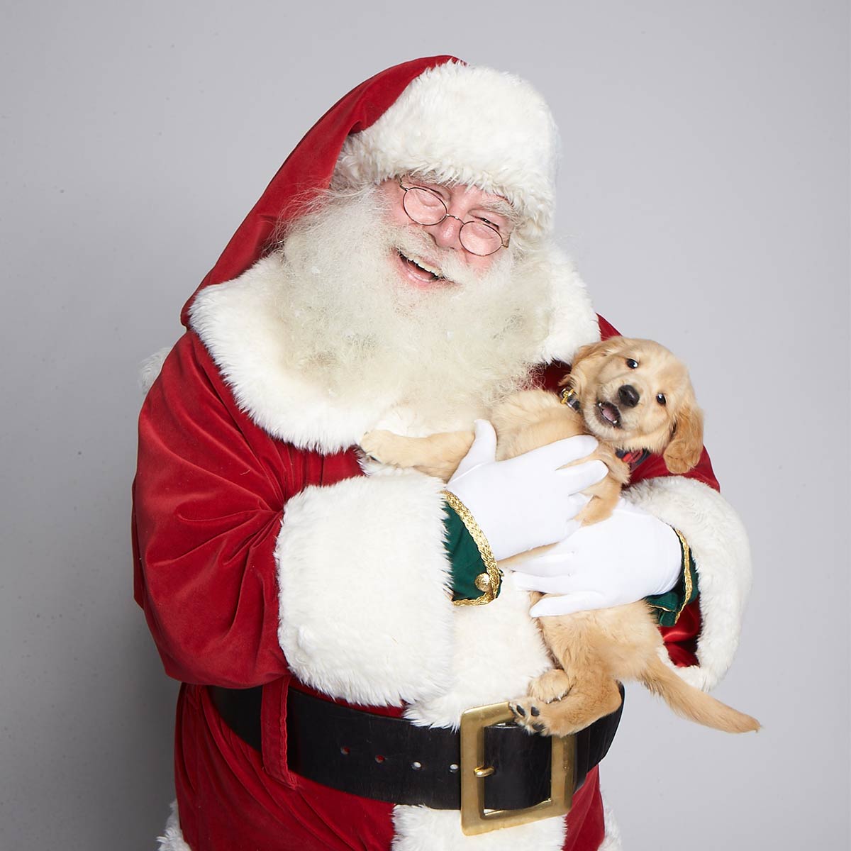 Santa holding puupy.