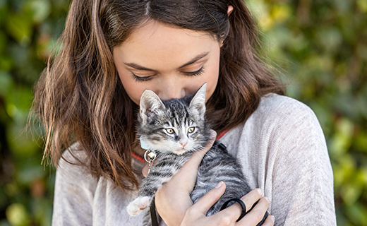 woman with grey and white kitten