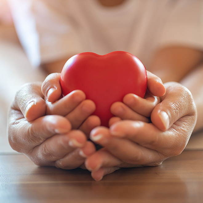 Hands cradling heart 