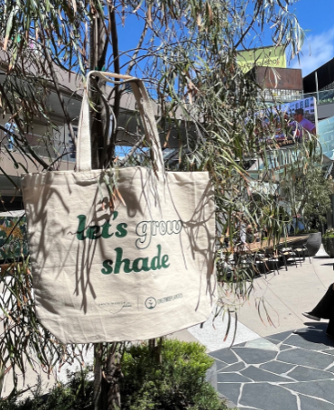 Reusable tote bag hanging on tree