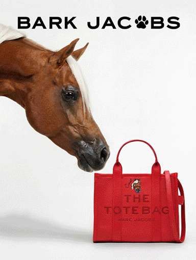 horse head sniffing a red marc jacobs totebag