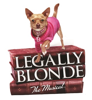 Legally Blonde The Musical with dog in pink sweater standing on books