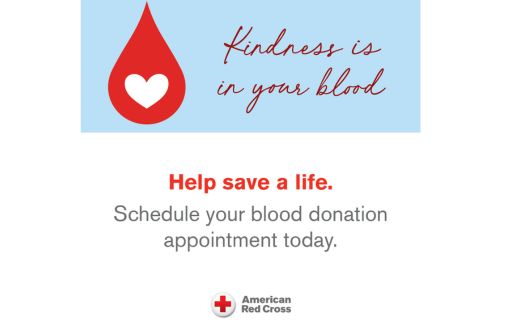 kindness is in your blood. help save a life. schedule your blood donation appointment today. american red cross logo