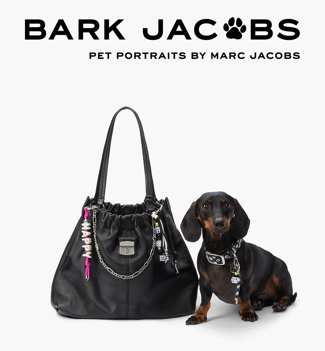 bark jacobs, pet portraits by marc jacobs. handbag next to a puppy