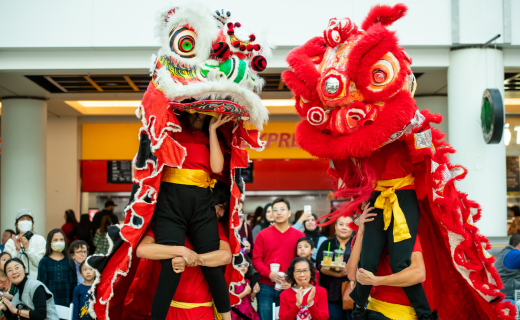 colorful dragon heads worn by phoenix chinese week dancers