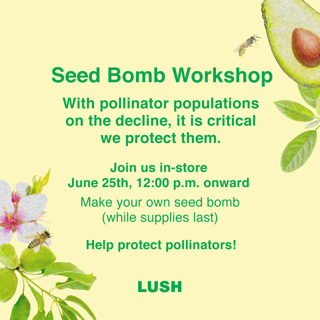 seed bomb workshop
with pollinator populations on the decline, it is critical we protect them. 
join  us in store june 25th 12:00pm onward
make your own seed bomb (while supplies last)
Help protect pollinators 
Lush