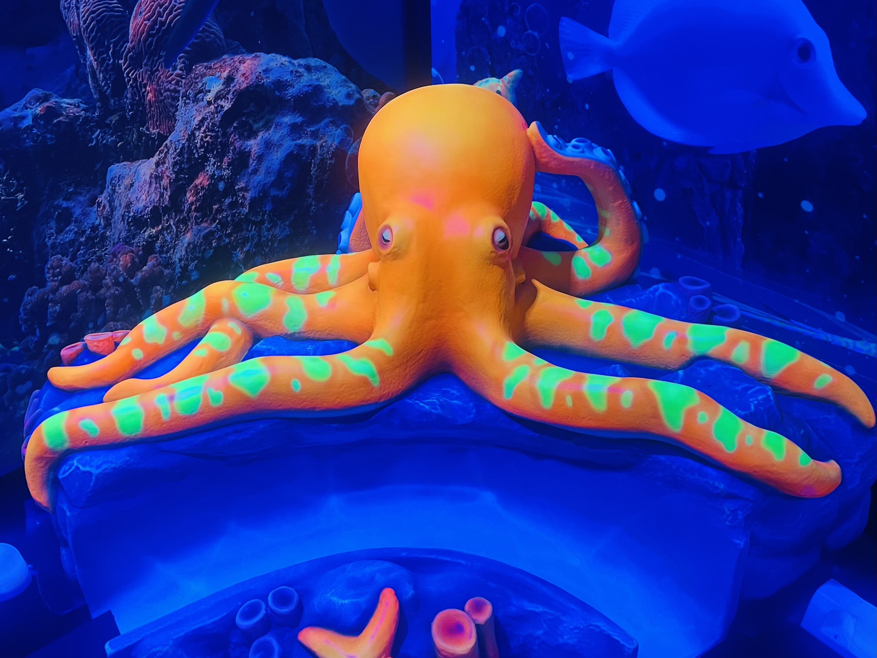 A glow in the dark octopus sitting on a rock. 