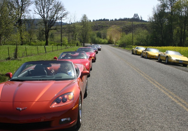 Corvettes parked on the side of the road 