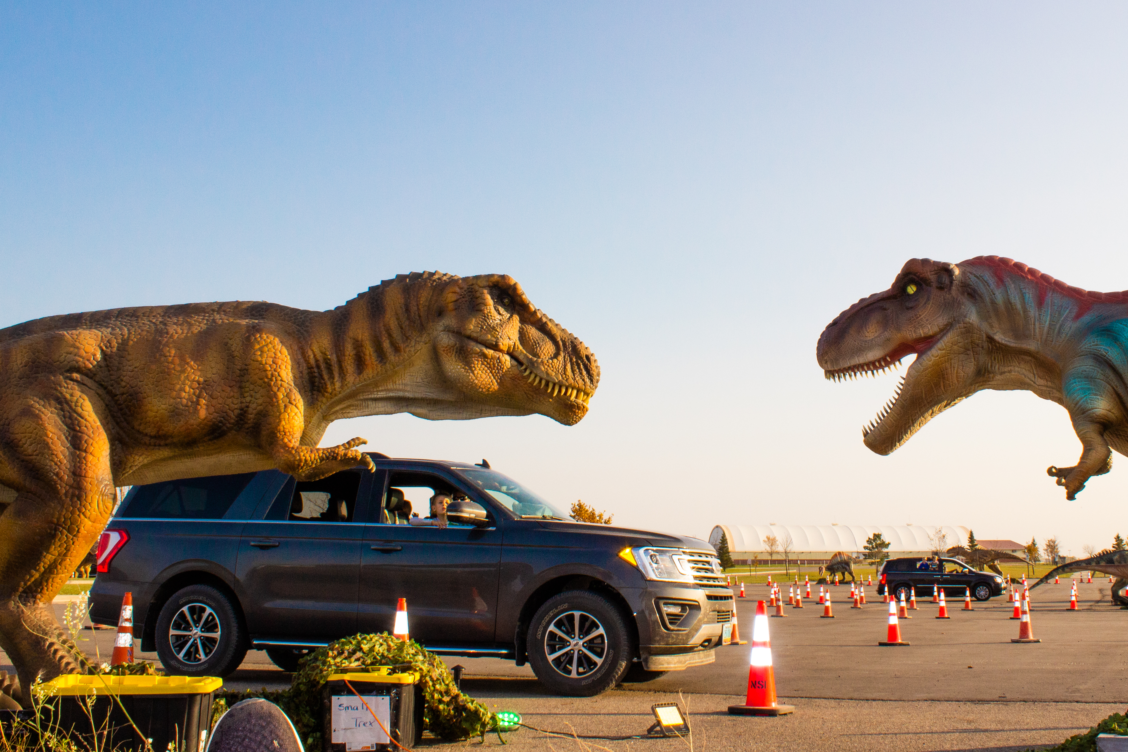 dinosaur drive through event with a van