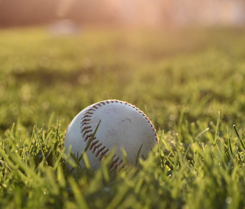 A baseball in the grass.