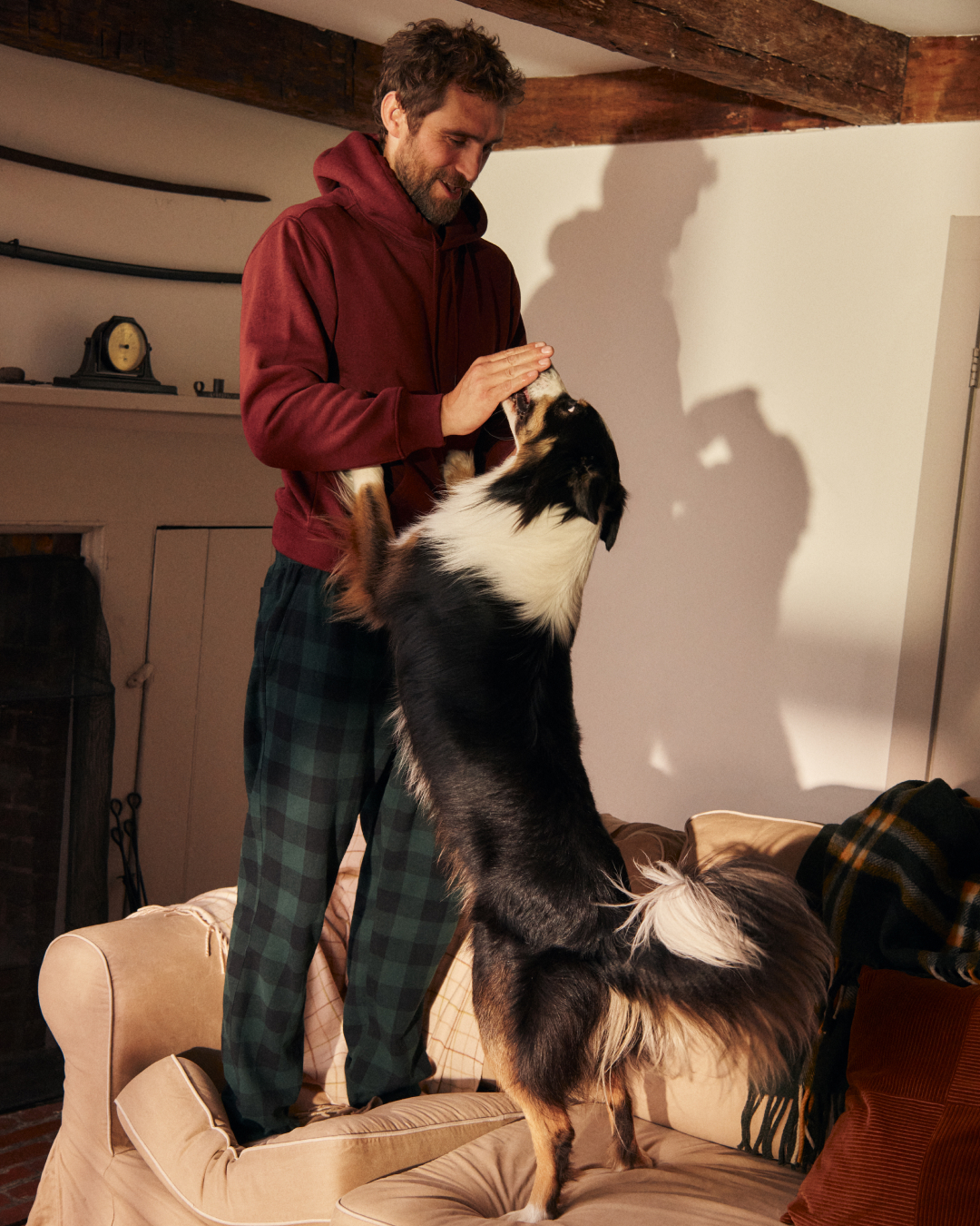 A man standing on a couch in plaid pajama pants and a burgundy sweatshirt playing with his tri-colored dog
