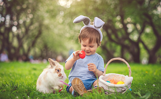 Little boy holding a egg with a basket and a bunny sitting next to him