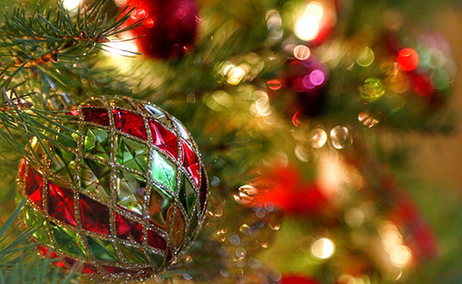 a green and red ornament hanging in a christmas tree