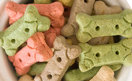 bowl of dog treats