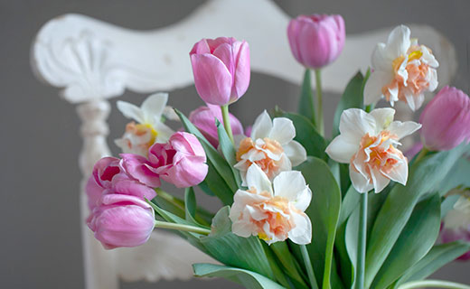 spring flowers