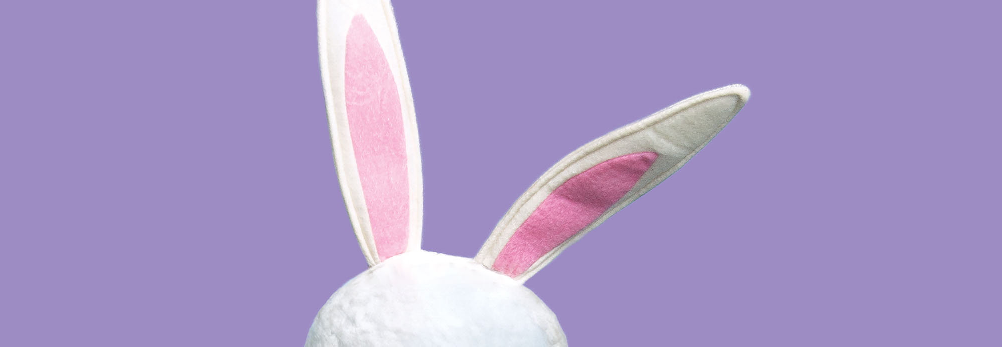Felt Easter Bunny ears on a purple background