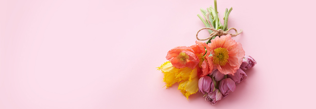 A bouquet of spring flowers on a pink background