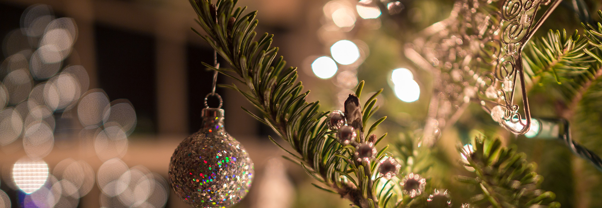 Holiday lights