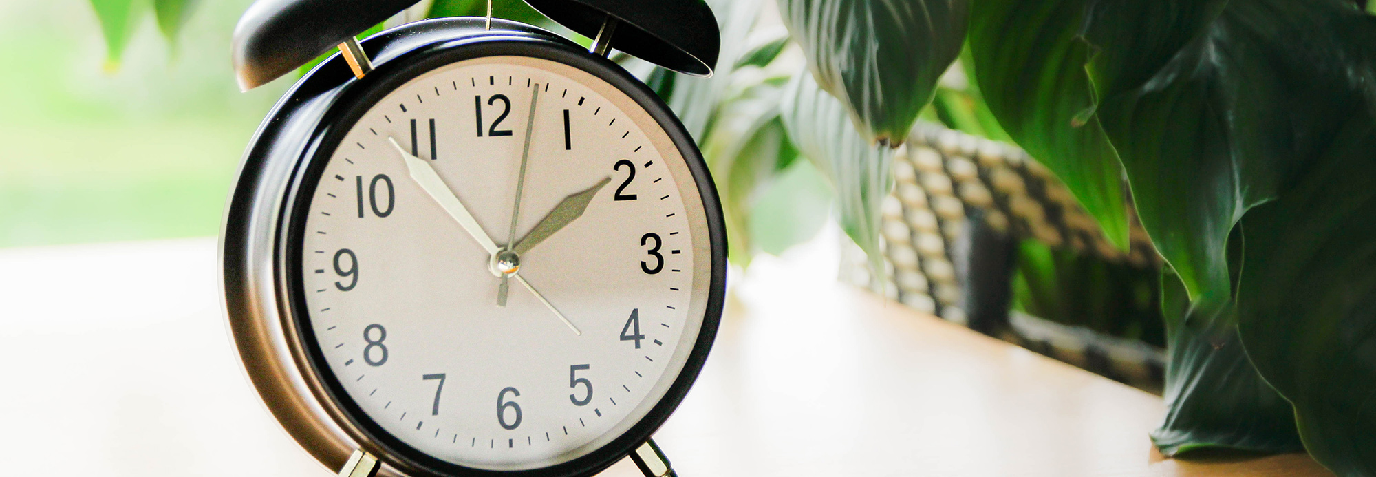 An alarm clock next to a houseplant