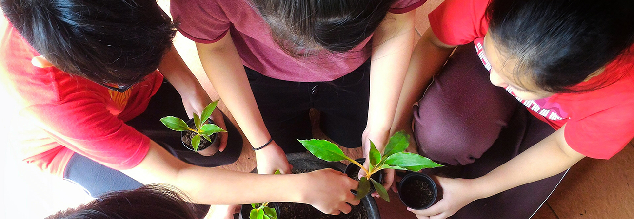 a group of kids planting seedlings