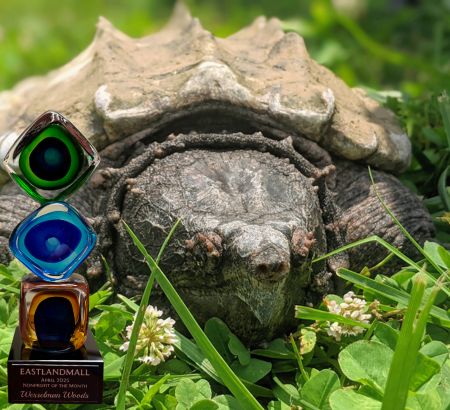 Shelly, an Aligator Snapping Turtle, is pictured with the Nonprofit of the Month Award superimposed in the photo. 