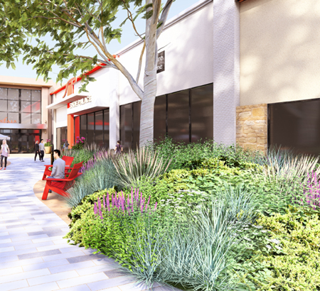 landscaping with purple and green plant hill with tree