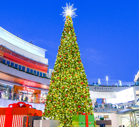 SMP iconic 50foot lit tree in center Plaza
