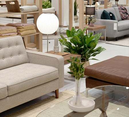 EQ3 couch, table, plant and lamp