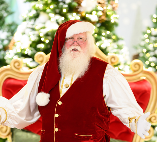 Santa at Tysons Corner Center
