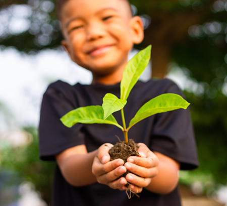 A child holding a seedling