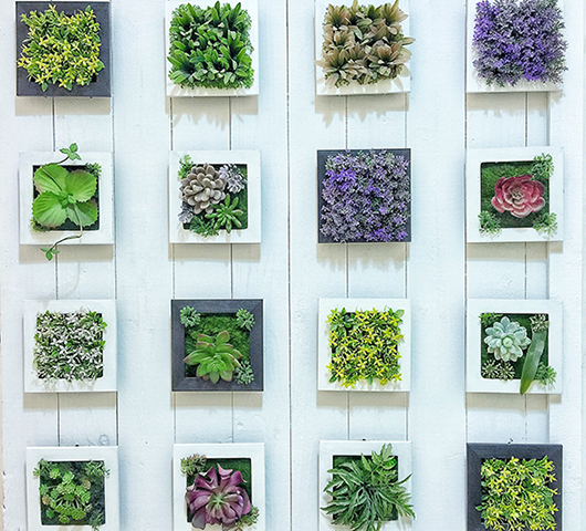 Overhead view of mini planters containing various plants and succulents