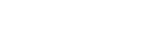 Twenty Ninth Street logo