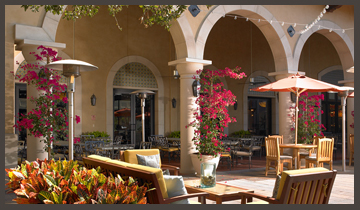 Outdoor seating area at The Oaks