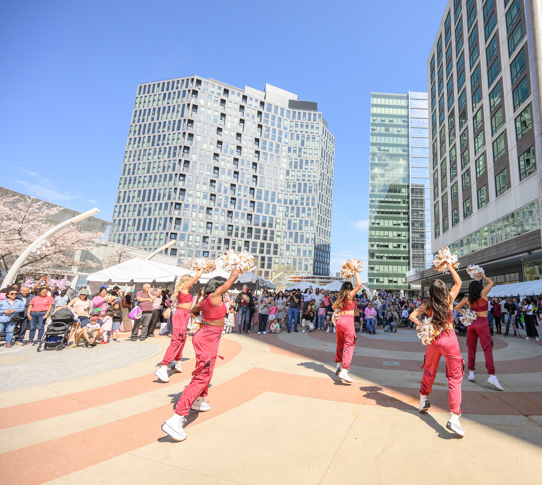 cherry blossom event crowd 