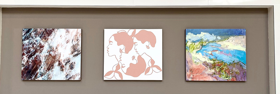 THE COLLECTION Feature Wall showcasing the work of Ívan Hoyos-Freyre, Justine Swindell, and Dorothy Fagan