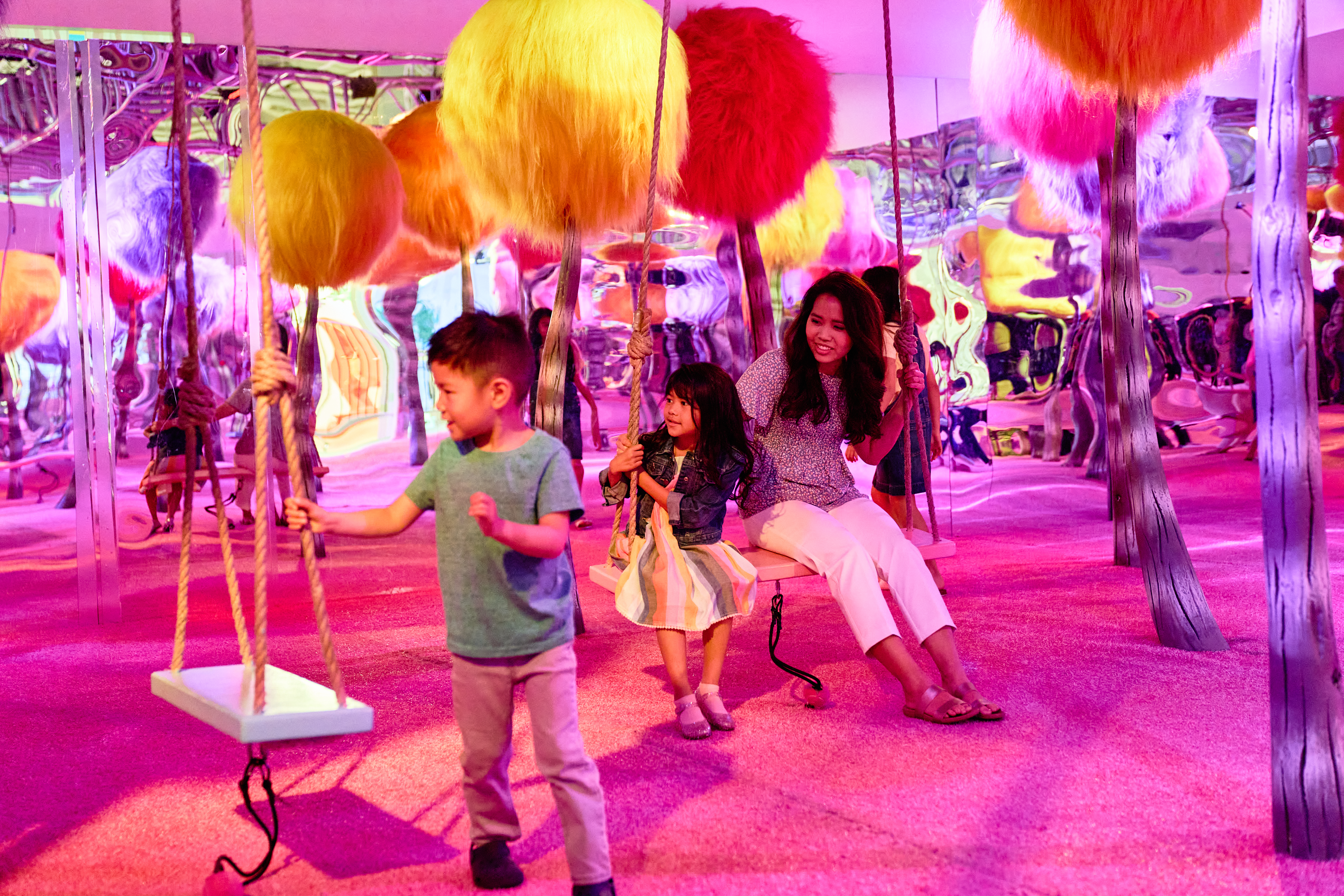 Dr Seuss Experience 