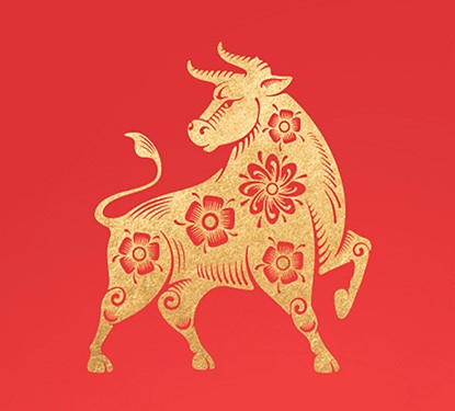 Golden Year of the Ox on a red backgroung